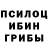 Галлюциногенные грибы прущие грибы Elizabeth Pribyshchuk