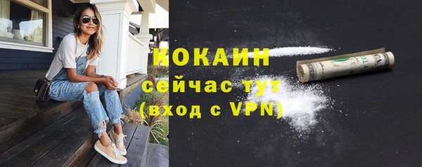 ешки Аркадак