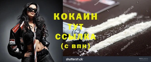 ешки Аркадак