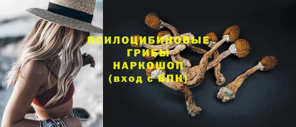 ешки Аркадак