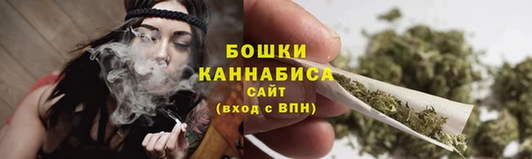 ГАЛЛЮЦИНОГЕННЫЕ ГРИБЫ Арсеньев