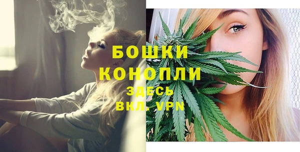 ГАЛЛЮЦИНОГЕННЫЕ ГРИБЫ Арсеньев