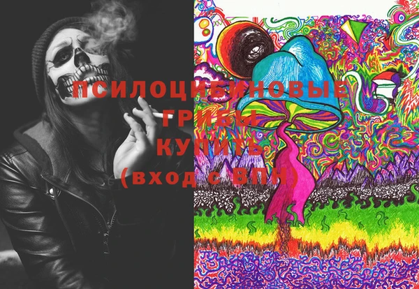 ешки Аркадак